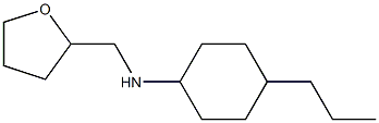 N-(oxolan-2-ylmethyl)-4-propylcyclohexan-1-amine Struktur