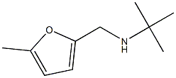 N-(tert-butyl)-N-[(5-methyl-2-furyl)methyl]amine Struktur