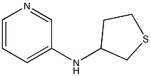 N-(thiolan-3-yl)pyridin-3-amine Struktur