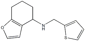 N-(thiophen-2-ylmethyl)-4,5,6,7-tetrahydro-1-benzofuran-4-amine Struktur