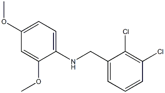 N-[(2,3-dichlorophenyl)methyl]-2,4-dimethoxyaniline Struktur