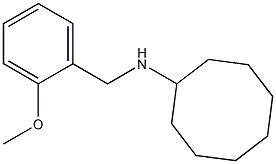 N-[(2-methoxyphenyl)methyl]cyclooctanamine Struktur