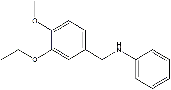 N-[(3-ethoxy-4-methoxyphenyl)methyl]aniline Struktur