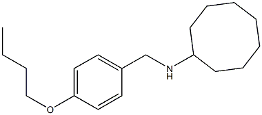 N-[(4-butoxyphenyl)methyl]cyclooctanamine Struktur