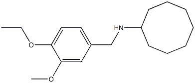 N-[(4-ethoxy-3-methoxyphenyl)methyl]cyclooctanamine Struktur