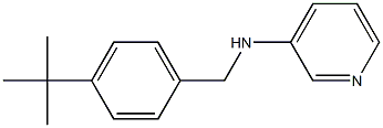 N-[(4-tert-butylphenyl)methyl]pyridin-3-amine Struktur