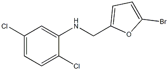 N-[(5-bromofuran-2-yl)methyl]-2,5-dichloroaniline Struktur