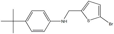 N-[(5-bromothiophen-2-yl)methyl]-4-tert-butylaniline Struktur