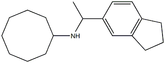 N-[1-(2,3-dihydro-1H-inden-5-yl)ethyl]cyclooctanamine Struktur