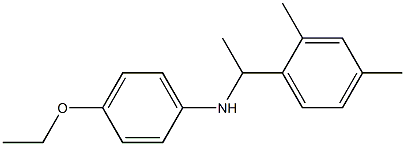 N-[1-(2,4-dimethylphenyl)ethyl]-4-ethoxyaniline Struktur