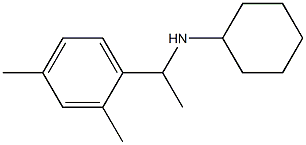 N-[1-(2,4-dimethylphenyl)ethyl]cyclohexanamine Struktur