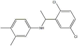 N-[1-(2,5-dichlorophenyl)ethyl]-3,4-dimethylaniline Struktur