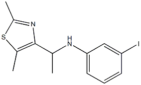 N-[1-(2,5-dimethyl-1,3-thiazol-4-yl)ethyl]-3-iodoaniline Struktur