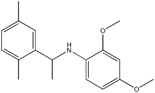 N-[1-(2,5-dimethylphenyl)ethyl]-2,4-dimethoxyaniline Struktur