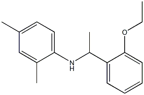 N-[1-(2-ethoxyphenyl)ethyl]-2,4-dimethylaniline Struktur