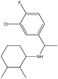 N-[1-(3-chloro-4-fluorophenyl)ethyl]-2,3-dimethylcyclohexan-1-amine Struktur