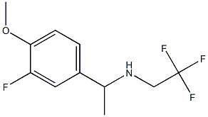 N-[1-(3-fluoro-4-methoxyphenyl)ethyl]-N-(2,2,2-trifluoroethyl)amine Struktur