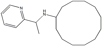 N-[1-(pyridin-2-yl)ethyl]cyclododecanamine Struktur