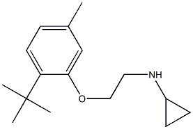 N-[2-(2-tert-butyl-5-methylphenoxy)ethyl]cyclopropanamine Struktur