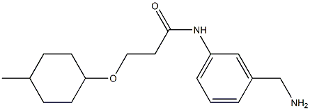 N-[3-(aminomethyl)phenyl]-3-[(4-methylcyclohexyl)oxy]propanamide Struktur