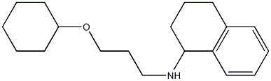 N-[3-(cyclohexyloxy)propyl]-1,2,3,4-tetrahydronaphthalen-1-amine Struktur