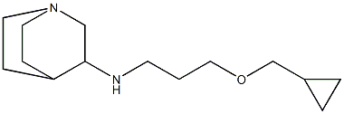 N-[3-(cyclopropylmethoxy)propyl]-1-azabicyclo[2.2.2]octan-3-amine Struktur