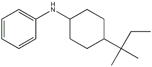 N-[4-(2-methylbutan-2-yl)cyclohexyl]aniline Struktur