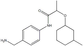 N-[4-(aminomethyl)phenyl]-2-[(3-methylcyclohexyl)oxy]propanamide Struktur