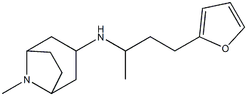 N-[4-(furan-2-yl)butan-2-yl]-8-methyl-8-azabicyclo[3.2.1]octan-3-amine Struktur