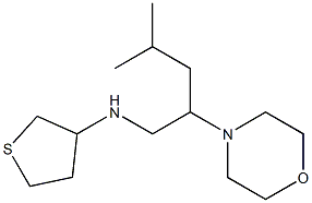 N-[4-methyl-2-(morpholin-4-yl)pentyl]thiolan-3-amine Struktur