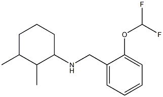 N-{[2-(difluoromethoxy)phenyl]methyl}-2,3-dimethylcyclohexan-1-amine Struktur