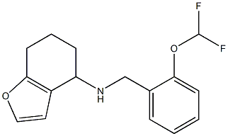 N-{[2-(difluoromethoxy)phenyl]methyl}-4,5,6,7-tetrahydro-1-benzofuran-4-amine Struktur