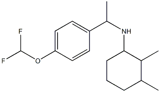 N-{1-[4-(difluoromethoxy)phenyl]ethyl}-2,3-dimethylcyclohexan-1-amine Struktur