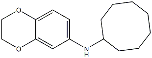 N-cyclooctyl-2,3-dihydro-1,4-benzodioxin-6-amine Struktur