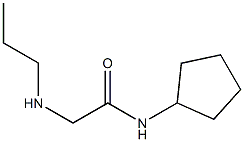 N-cyclopentyl-2-(propylamino)acetamide Struktur