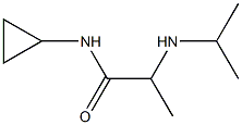 N-cyclopropyl-2-(propan-2-ylamino)propanamide Struktur