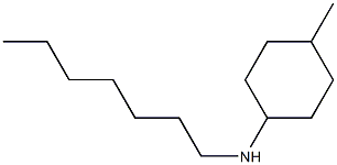 N-heptyl-4-methylcyclohexan-1-amine Struktur