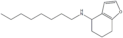 N-octyl-4,5,6,7-tetrahydro-1-benzofuran-4-amine Struktur