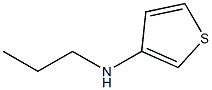 N-propyl-N-tetrahydrothien-3-ylamine Struktur