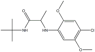 N-tert-butyl-2-[(4-chloro-2,5-dimethoxyphenyl)amino]propanamide Struktur