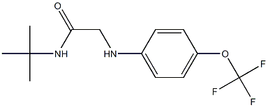 N-tert-butyl-2-{[4-(trifluoromethoxy)phenyl]amino}acetamide Struktur