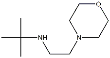 tert-butyl[2-(morpholin-4-yl)ethyl]amine Struktur