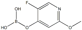 5-Fluoro-2-methoxypyridine-4-boric acid Struktur