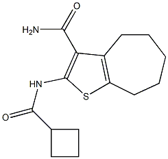 2-[(cyclobutylcarbonyl)amino]-5,6,7,8-tetrahydro-4H-cyclohepta[b]thiophene-3-carboxamide Struktur