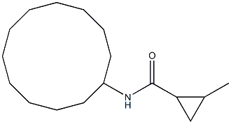 N-cyclododecyl-2-methylcyclopropanecarboxamide Struktur