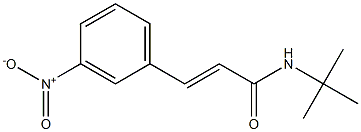 (E)-N-(tert-butyl)-3-(3-nitrophenyl)-2-propenamide Struktur