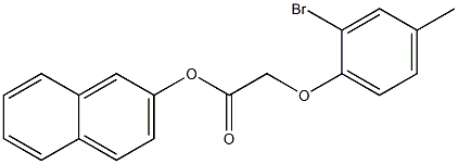 2-naphthyl 2-(2-bromo-4-methylphenoxy)acetate Struktur