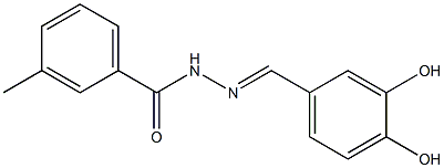 N'-[(E)-(3,4-dihydroxyphenyl)methylidene]-3-methylbenzohydrazide Struktur