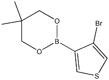 2-(4-Bromo-3-thienyl)-5,5-dimethyl-1,3,2-dioxaborinane Struktur