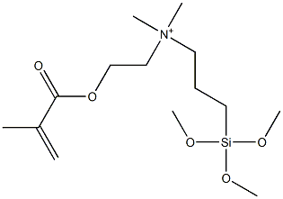 N,N-Dimethyl-N-[2-[(2-methyl-1-oxo-2-propenyl)oxy]ethyl]-3-(trimethoxysilyl)-1-propanaminium Struktur